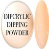 SHEBA NAILS Dipcrylic Dip Dipping Powder Viking Saga Collection RAGNA - 1oz Jar view 1