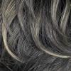 Zury Sis Synthetic Sassy Razor Chic Wig - H TATI (SOM RTS STEEL) view 3