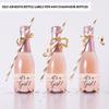 Andaz Press Blush Pink Rose Elegant Party Baby Shower Collection, Waterproof Mini Champagne Wine or Milk Bottle Labels, It's a Girl!, 20-Pack, Party Favors Decor Gift Ideas view 3
