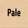 Hide Ink Temporary Tattoo Cover Up 4" x 6" - PALE COLOR (5-Pack) view 1