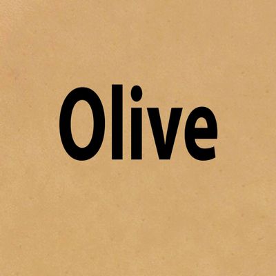 Hide Ink Temporary Tattoo Cover Up 4" x 6" - OLIVE COLOR (5-Pack)