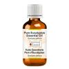 Greenwood Essential Eucalyptus Essential Oil (Eucalyptus globulus) Pure | Non-Sticky | Non-Greasy | Lightweight | Men & Women | All Skin Types | Steam Distilled 50ml (1.69 oz) view 1