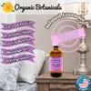 Pure Organic Lavender Oil - Lavender Massage Oil for Skin & Body  Relaxing & Hydrating Body Oil for Massage Therapy, Date Night & Bath  Calming, All Natural (32 Ounce) view 2