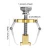 2 Pieces Ingrown Toenail Lifter Ingrown Toenail Tool Toe Clamp Stainless Steel Foot Care Tool for Paronychia (Gold) view 2