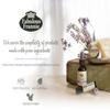 Fabulous Frannie After Sun All Natural Essential Oil Healing Balm made with Sunflower Oil, Coconut Oil, Shea Butter, Beeswax, Soy Wax, Aloe Vera and Pure Essential Oils 3.5oz Tin view 3