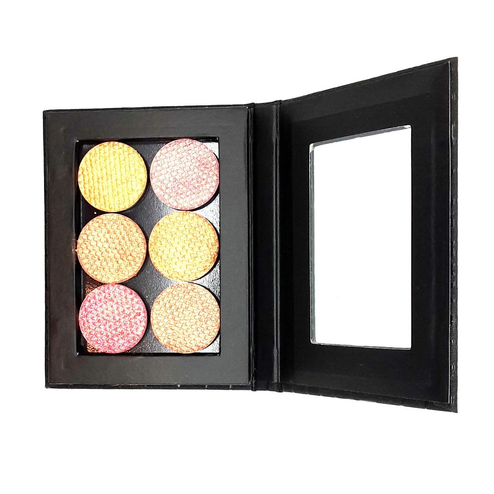 10 x Palette Makeup Box Eyeshadow Pan Holder Empty holds 6 tin pans
