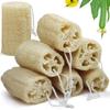 7 Pack Natural Loofah Exfoliating Body Scrubber, 5 Inches Organic Luffa Bath Sponge Exfoliating Shower Body Scrubber for Deep Cleaning & Smooth Skin, Natural Real loofah Sponge for Men & Women view 1