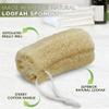 7 Pack Natural Loofah Exfoliating Body Scrubber, 5 Inches Organic Luffa Bath Sponge Exfoliating Shower Body Scrubber for Deep Cleaning & Smooth Skin, Natural Real loofah Sponge for Men & Women view 2