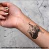 Azeeda 4 x 'Highland Cattle' Temporary Tattoos - Water Resistant, Skin-Safe, Non-Toxic Transfers, Mixed Sizes (TO00007281) view 2