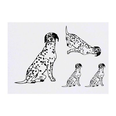 Azeeda 4 x 'Dalmation Dog' Temporary Tattoos - Water Resistant, Skin-Safe, Non-Toxic Transfers, Mixed Sizes (TO00012843)