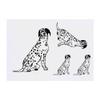 Azeeda 4 x 'Dalmation Dog' Temporary Tattoos - Water Resistant, Skin-Safe, Non-Toxic Transfers, Mixed Sizes (TO00012843) view 1