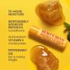 Burt's Bees Lip Balm - Beeswax, Cucumber Mint, Coconut & Pear, and Vanilla Bean Pack, With Responsibly Sourced Beeswax, Tint-Free, Natural Origin Lip Treatment, 4 Tubes, 0.15 oz. view 2