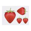 Azeeda 4 x 'Strawberry' Temporary Tattoos - Water Resistant, Skin-Safe, Non-Toxic Transfers, Mixed Sizes (TO00014818) view 1