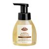 Fabulous Frannie All Natural Ingredients No Synthetics Protect Foaming Hand Soap made with Pure Essential Oils Clove, Lemon, Cinnamon, Eucalyptus and Rosemary 8oz (Pack of 1) view 1