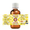 Deve Herbes Pure Eucalyptus Essential Oil (Eucalyptus globulus) Steam Distilled 30ml (1 oz) view 2
