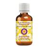 dve herbes Rosemary Essential Oil (Rosmarinus officinalis) Pure | Non-Sticky | Non-Greasy | Lightweight | Men & Women | All Skin Types | Steam Distilled 30ml (1 oz) view 1