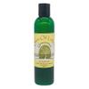 Ancient Art Soap 8oz Unscented Olive Oil Lotion (Olive Oil Lotion Unscented) view 1