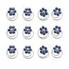 24PCS Rhinestone Flower Spiral Hair Pin Crystal Hair Twisters Coils Hair Clips Metal Spiral Twist Hairpins Hair Pins Wedding Bridal Hair Accessories (Blue) view 1