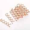 20 PCS Metal Spiral Hair Pins Fast Bun Twist Screws Bobby Hair Pins Spin Hair Clip Hairdressing Tool Woven DIY Hair Style (Rose Gold) view 3