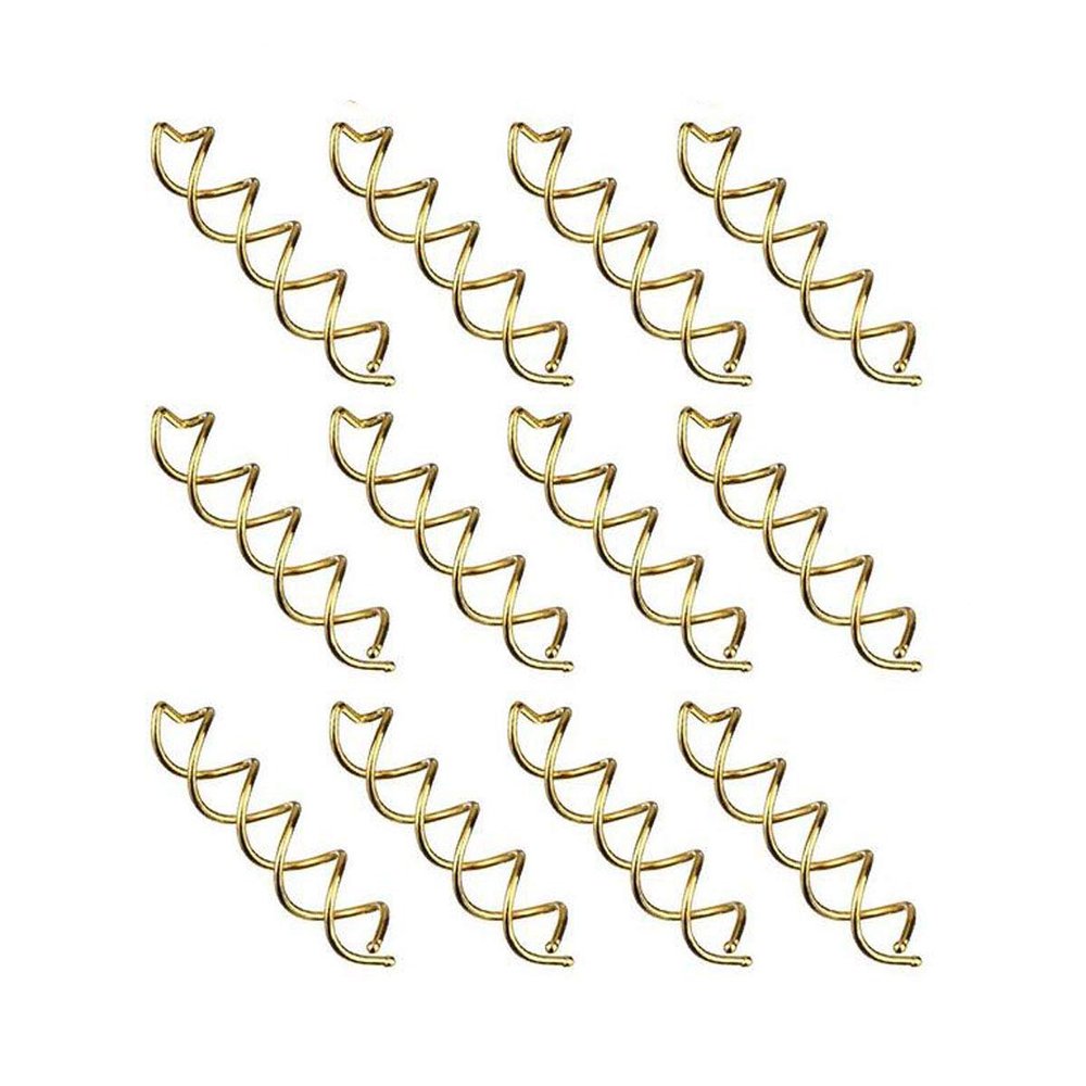 20 PCS Metal Spiral Hair Pins Fast Bun Twist Screws Bobby Hair Pins Spin Hair Clip Hairdressing Tool Woven DIY Hair Style (Gold)
