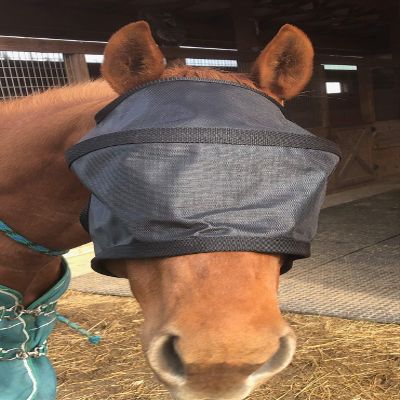 Horse High Brow Eye Protection Shade (Black, Draft)