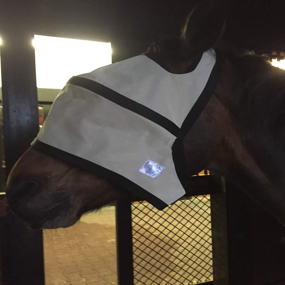 Horse High Brow Eye Protection Shade (Beige, Regular Horse)