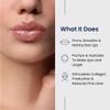 Agelyss Lip Plumper - Deep Hydration - Lip Volume, Collagen Boost, Plumping - Paraben-Free, Cruelty-Free, Vegan - .14 FL OZ - Pack of 6 view 2