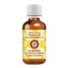 dve herbes Clove Essential Oil (Syzygium aromaticum) Pure | Non-Sticky | Non-Greasy | Lightweight | Men & Women | All Skin Types | Steam Distilled 15ml (0.5 oz) view 1