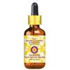 dve herbes German Chamomile Essential Oil (Matricaria recutita) with Glass Dropper | Pure | Non-Sticky | Non-Greasy | Lightweight | Men & Women | All Skin Types | Steam Distilled 10ml (0.33 oz) view 1