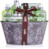 BRUBAKER Cosmetics Bath and Shower Set Aloe Vera - 9-Piece Gift Set in Vintage Plant Pot view 1