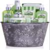 BRUBAKER Cosmetics Bath and Shower Set Aloe Vera - 9-Piece Gift Set in Vintage Plant Pot view 2