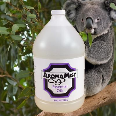 1-Gallon Eucalyptus Steam Shower Aroma Oil