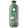 Herbal Essences Bio: Renew Aloe + Eucalyptus Sulfate Free Shampoo Scalp Balance, 13.5 Fl Oz, 5.491 Fl Oz view 1