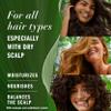 Herbal Essences Bio: Renew Aloe + Eucalyptus Sulfate Free Shampoo Scalp Balance, 13.5 Fl Oz, 5.491 Fl Oz view 2