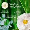 Herbal Essences Bio: Renew Aloe + Eucalyptus Sulfate Free Shampoo Scalp Balance, 13.5 Fl Oz, 5.491 Fl Oz view 3