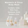 Atelier Bloem Mandarin & Citrus Purifying Body Wash - Kimpton Hotel Collection - Bath & Body - Eucalyptus, Lemon, Sandalwood, Orchid, Mandarin & Citrus - 1.7 oz. (Set of 4) view 2