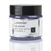 Lavender Lip Polish, 1 oz by Nabila K - Hydrating Lip Exfoliator & Moisturizer with Shea Butter and Vitamin E for Dry and Chapped Lips - Cruelty-Free, Real Sugar, Made in USA view 1