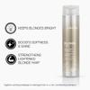 Joico Blonde Life Brightening Shampoo and Conditioner Set view 3