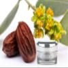 Luxebiotics Dark Circle, Puffiness and Anti-Wrinkle Eye Cream view 3