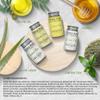 Terra Pure Green Tea Toiletries Set | 1-Shoppe Amenities Kit | 1oz Shampoo & Conditioner, Body Wash, Lotion | Travel Size | 80 Pieces view 4