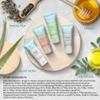 Eco Botanics Toiletries Set | 1-Shoppe Amenities Kit | 0.85oz Shampoo & Conditioner, Body Wash, Lotion | Travel Size | 80 Pieces view 4