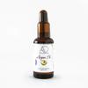100% Pure USDA Certified Organic Argan Oil By Abe's Organics | 50ml of Pure Moroccan Oil | Perfect for Hair, Skin and Nails! (Lavender) view 1