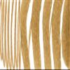 LYRA Aqua Brush Duo Braunocker view 2