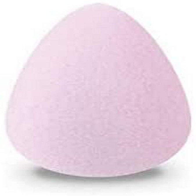 Wibo Wibo Pro Beauty Flock Teint Sponge 50g