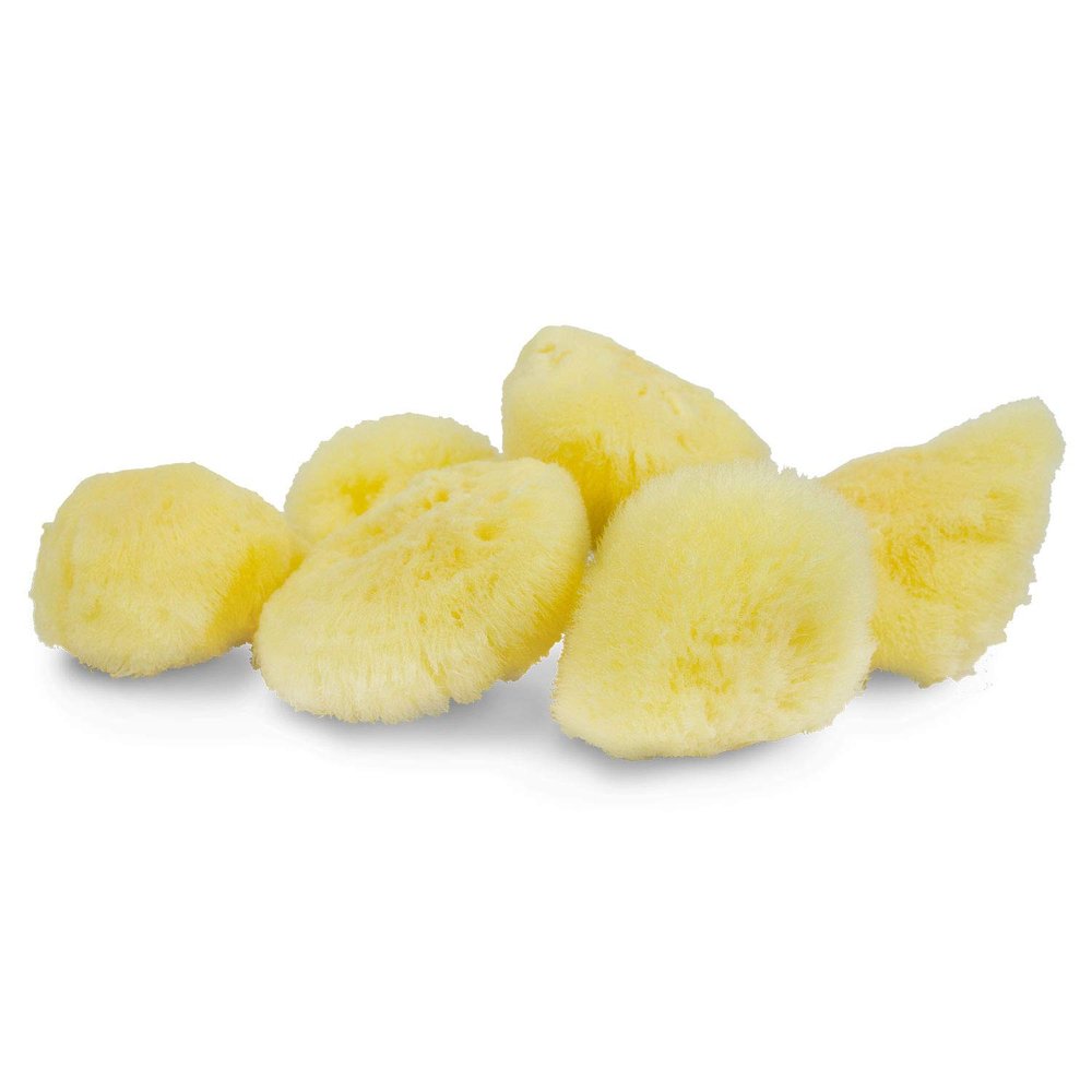 Neptune Natural Sea Silk Sponge 6pc Kit, Hand Cut, Small, Approx. 1-2 inches, Ideal for Cosmetic Use and Facial Cleansing