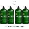 New York Biology Tea Tree Shampoo and Conditioner Set - Deep Cleanser - Relief for Dandruff and Dry Itchy Scalp - Therapeutic Grade - Helps Promote Hair Growth - 16.9 Fl Oz view 4