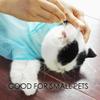 6" Long Cotton Swabs 2000pcs for Makeup, Gun Cleaning or Pets Care view 4