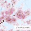 Allie Nuance Change UV Gel 03 Cherry Blossom 60g [2020 Limited Edition] view 2