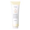 Lebel Viege Hair Treatment Volume - 240ml view 1