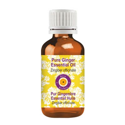 dve herbes Ginger Essential Oil (Zingiber officinale) Pure | Non-Sticky | Non-Greasy | Lightweight | Men & Women | All Skin Types | Steam Distilled 15ml (0.5 oz)